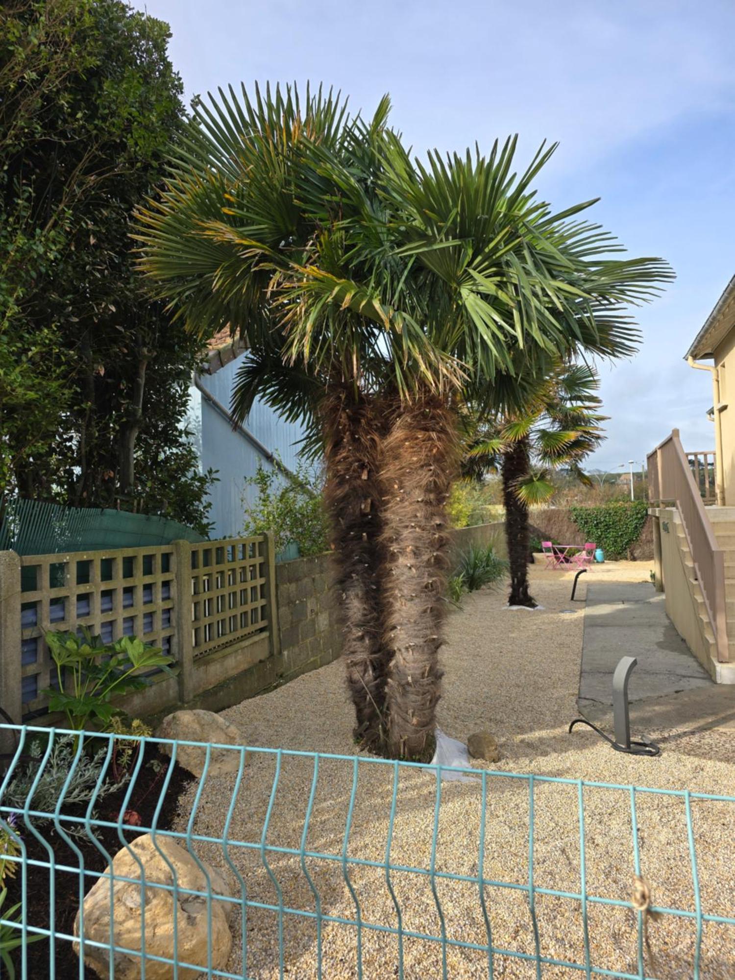 Hotel L'Ideal Le Mountbatten Arromanches-les-Bains Exterior photo